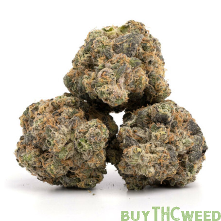 1g Lemon Cherry Gelato