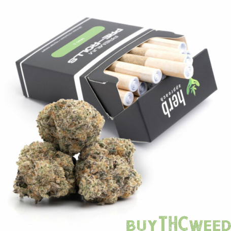 Mac 1 | Pre-Rolled 20 Pack | 14g