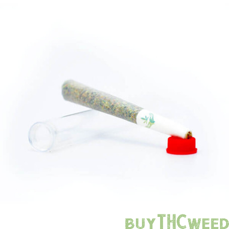 Sativa Pre-Rolled Joint